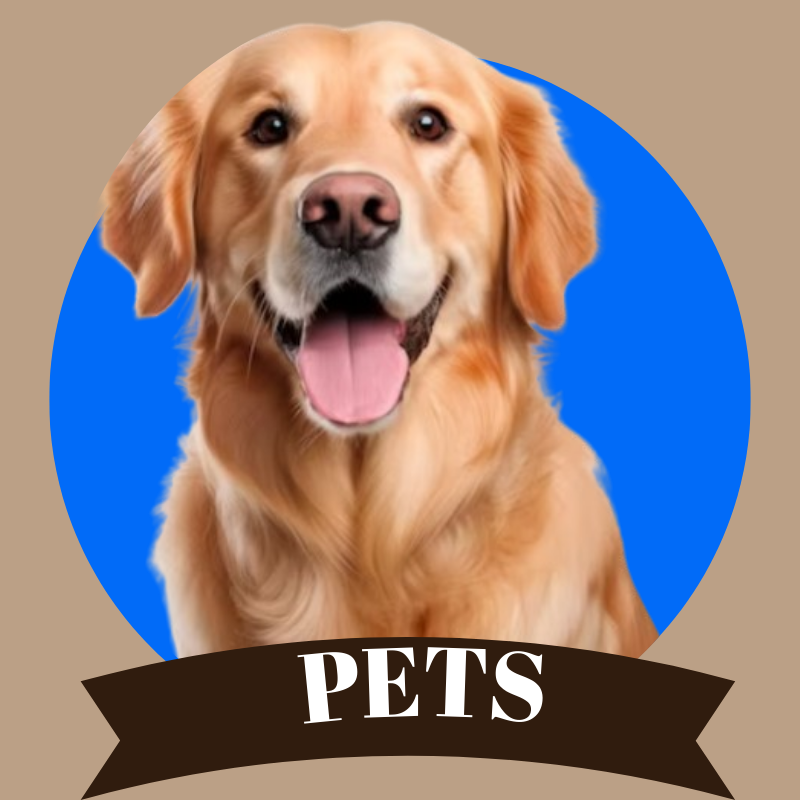 Pets